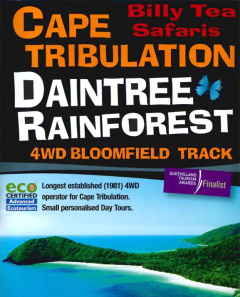 1 Day Daintree, Cape Trib, Bloomfield, 4WD Tour