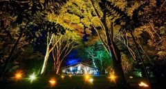 Flames of the Forest - Rainforest Dining Experience