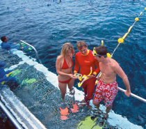 Snorkel platform