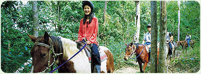 Blazing Saddles Adventures