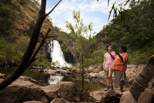 Bloomfield Falls at Wujal Wujal
