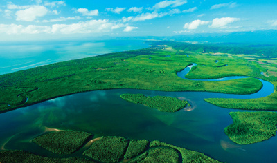 1 Day Tour - Daintree Cape Tribulation Bloomfield 4WD Track Eco Tour