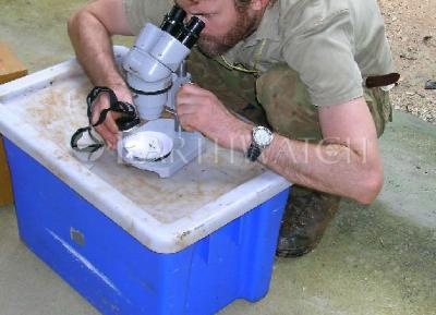 About the Research Area