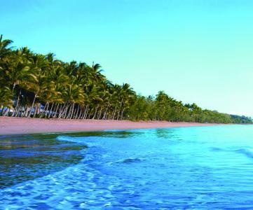 PALM COVE