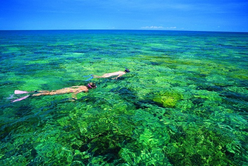 A Day With Us - Frankland Islands River & Reef Cruise
