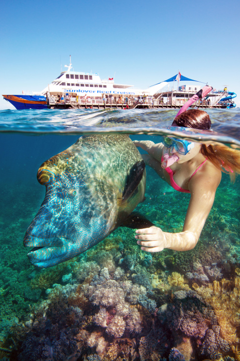 Great Barrier Reef Day Trip Includes: