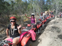 Hen time out on the quads