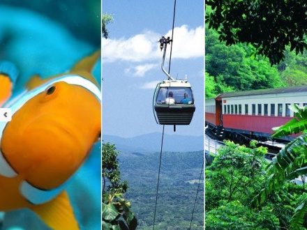 3 Day Reef, Kuranda & Cape Trib