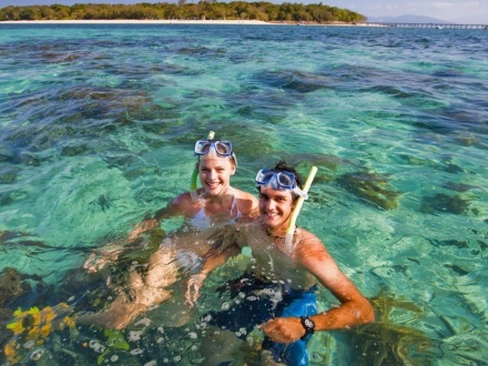 Green Island Reef Cruise Full day