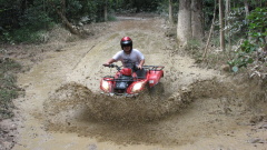 Down and Dirty Quad Bike Tours Kuranda