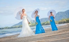 Palm Cove Weddings