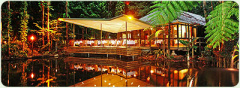 Daintree Eco Lodge & Spa