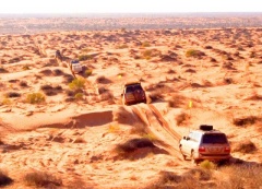 David and Justine Olsen's 4WD Tag-Along Tours