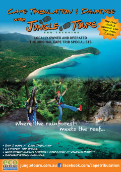 Jungle Tours