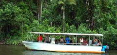 Jungle Tours