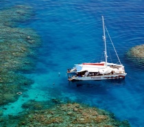 All introductory scuba divers start from the safety of the Passions of Paradise catamaran and dive in a calm, shallow lagoon full of marine life