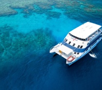 OceanQuest is a 36 metre catamaran over 3 decks with the capacity to sleep 48 customers overnight.