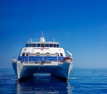 With daily departures via our fast transfer vessel SeaQuest, we can offer flexible itineraries from a single night stay to multiple nights on The Great Barrier Reef