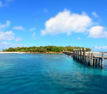 There are a number of different day tour options for visiting Green Island