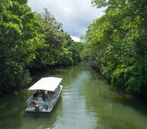 We visit the Majestic Daintree River for a 1 hour river cruise. 