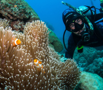 Explore the depths of the Great Barrier Reef.