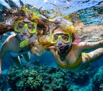Experience the ultimate adventure package, and best value day on the Great Barrier Reef. 