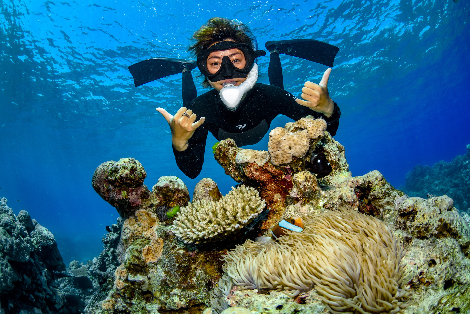 Divers Den Cairns Cairns Tourism Town Find & book authentic