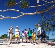 Guided Walking and Snorkel Tours