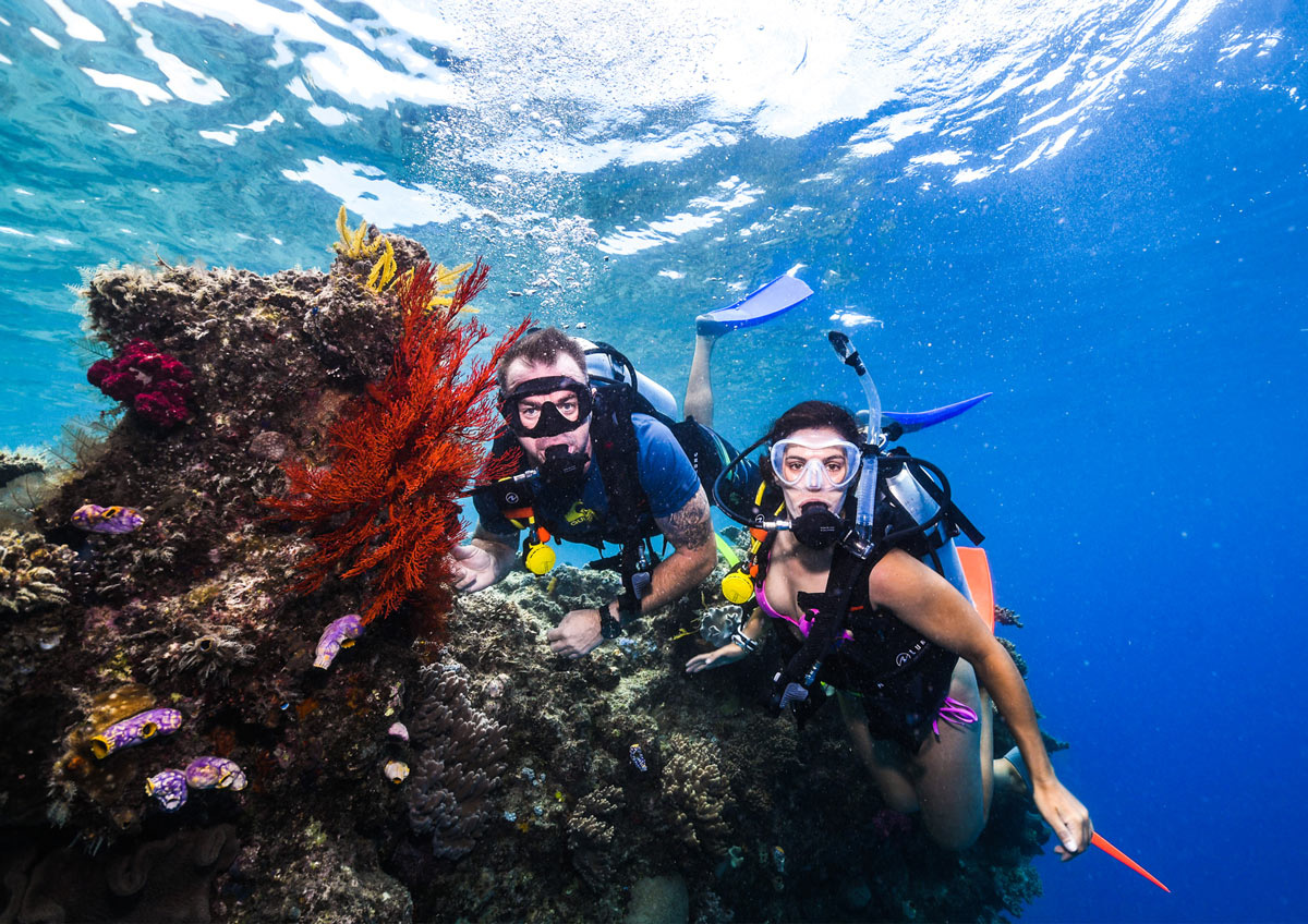Dreamtime Dive & Snorkel Cairns Cairns Tourism Town Find & book authentic experiences in