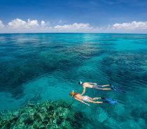 Snorkeling with Great Adventures