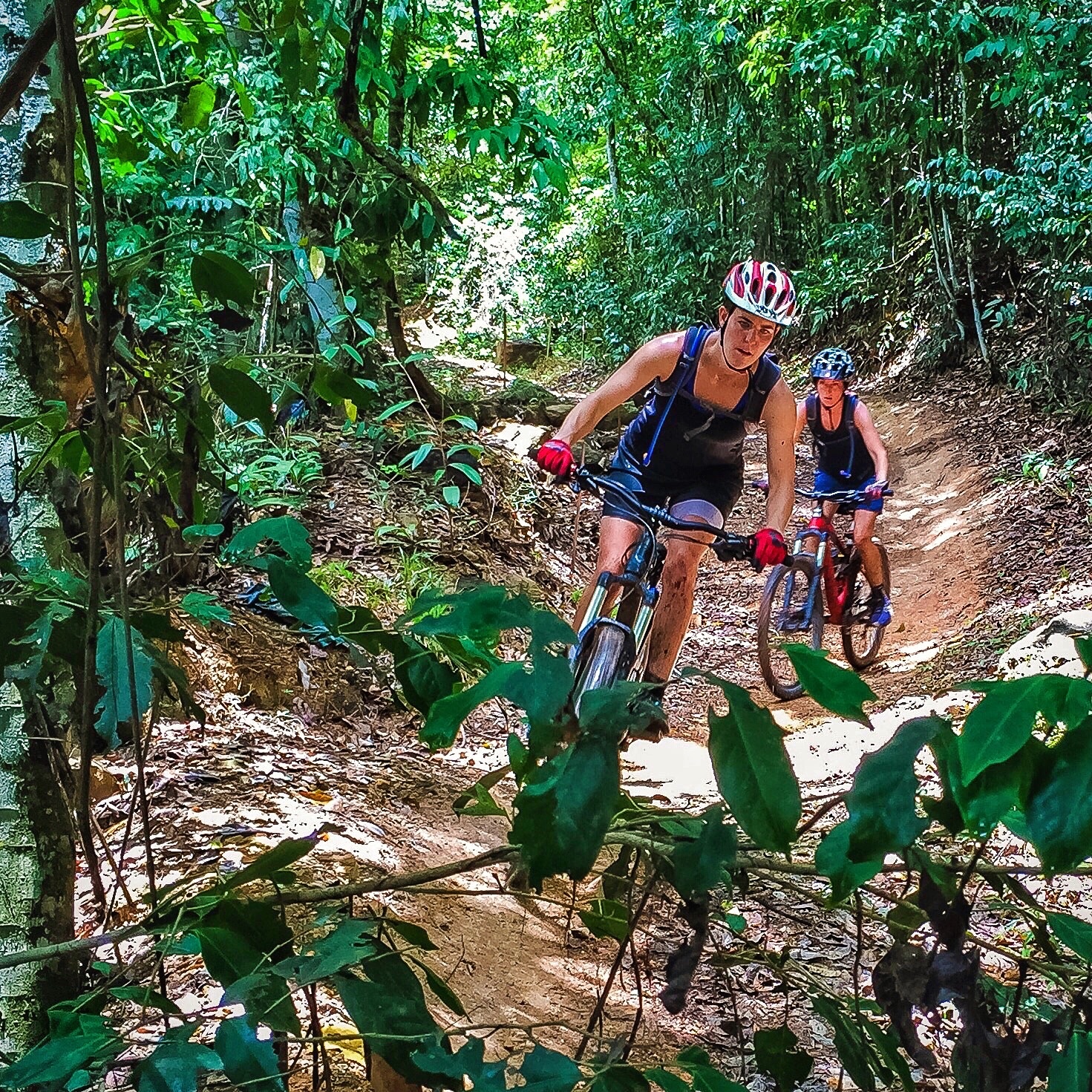 Cairns Mountain Bike Tours & Hire Cairns Tourism Town Find & book