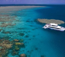 Silverswift Reef Cruise from Cairns
