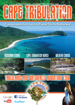 Cape Tribulation Day Tour