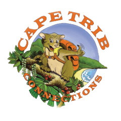 Cape Tribulation Overnight Tour