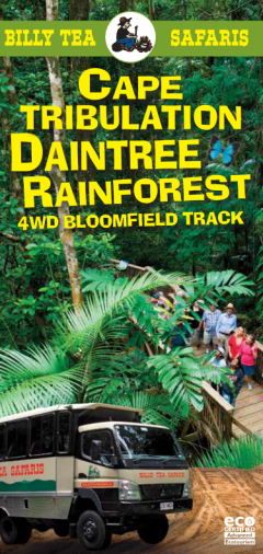 Alexandra Lookout Daintree - Billy Tea Safaris