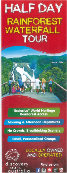 Small Group Exclusive Half Day Rainforest/Waterfall Four Wheel Drive Adventure