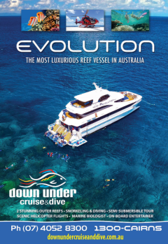 Evolution - Snorkel & Dive