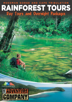 Cape Tribulation & Daintree National Park