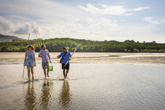Daintree Dreaming