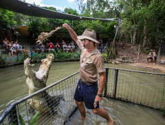 Hartley's Crocodile Adventures with Transfers