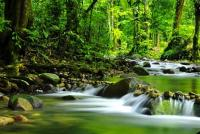 Discovery Tours Australia