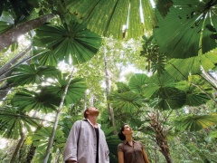Discovery Tours Australia
