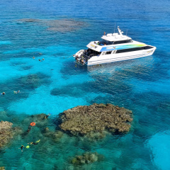 Tusa Dive Cairns