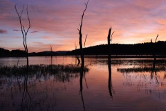 Come and Enjoy a Spectacular Sunset with Us