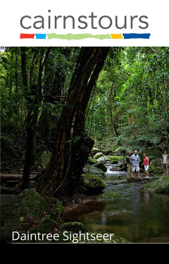 Daintree Sightseer