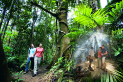 Active Tropics Explorer