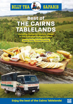 Billy Tea Safaris