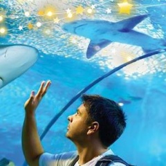 Cairns aquarium