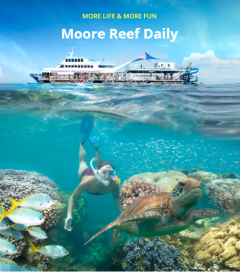 Sunlover Moore Reef Cruise