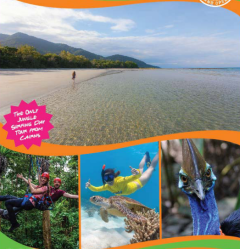 Daintree Experience & Jungle Surfing
